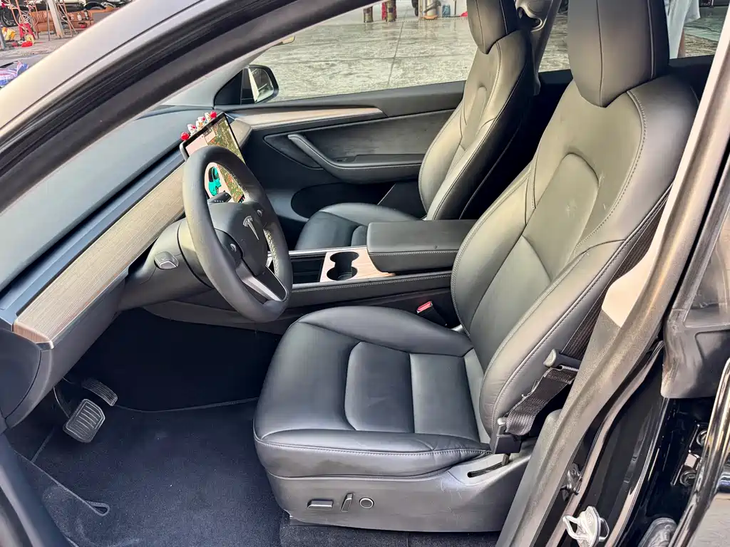Tesla Model Y — миниатюра 7