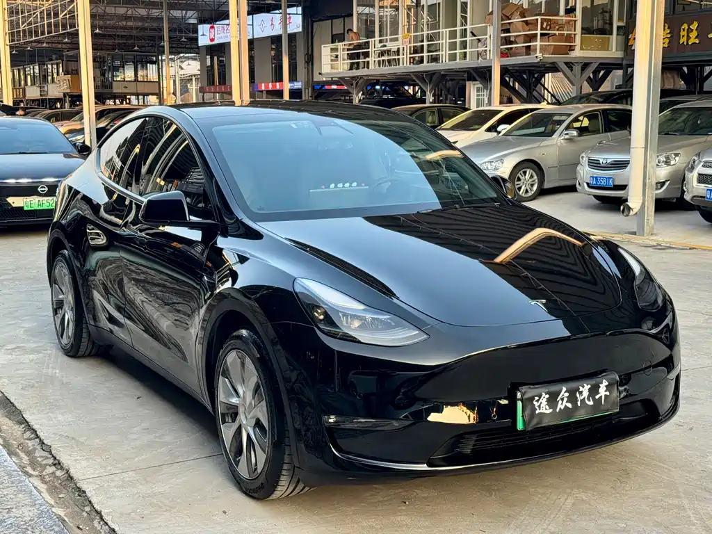 Tesla Model Y — миниатюра 3