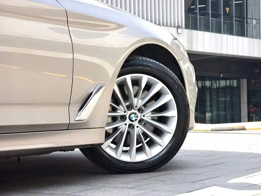 BMW 5 Series 5 2020 530Li Lead Luxury