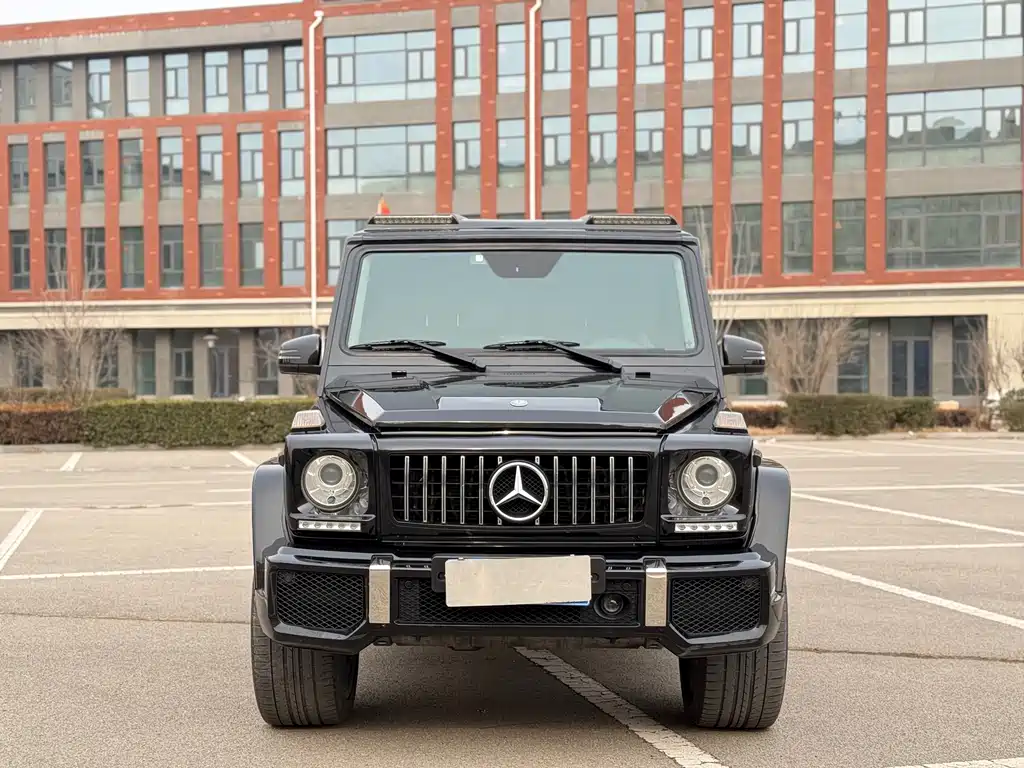 Mercedes-Benz G-Class G 2013 G 500