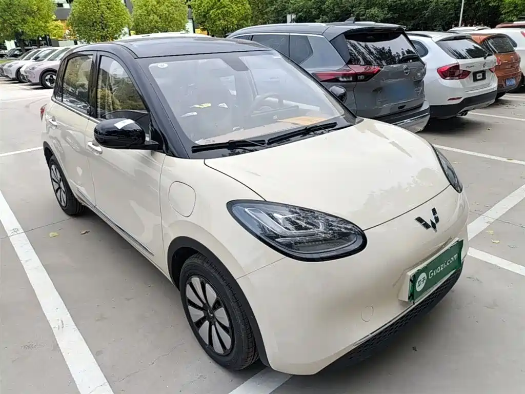 Wuling Binguo 2025 333km Enjoy
