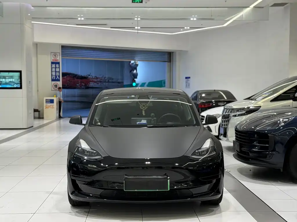 Tesla Model 3 2021 3D6