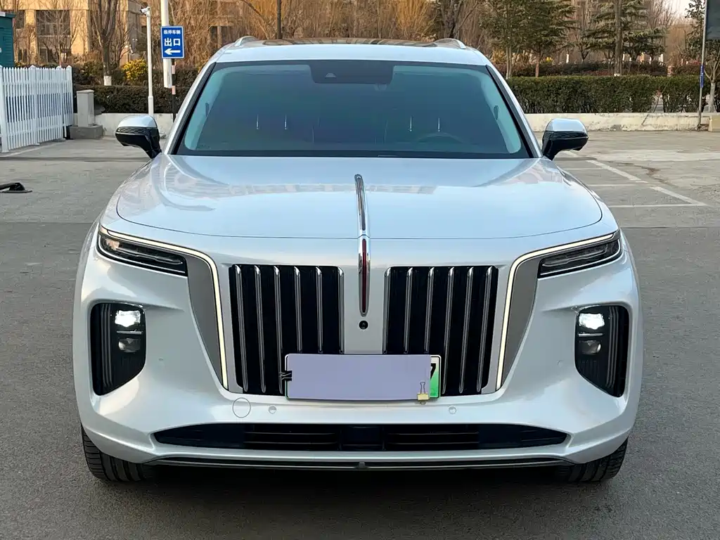 Hongqi HONGQI E HS9