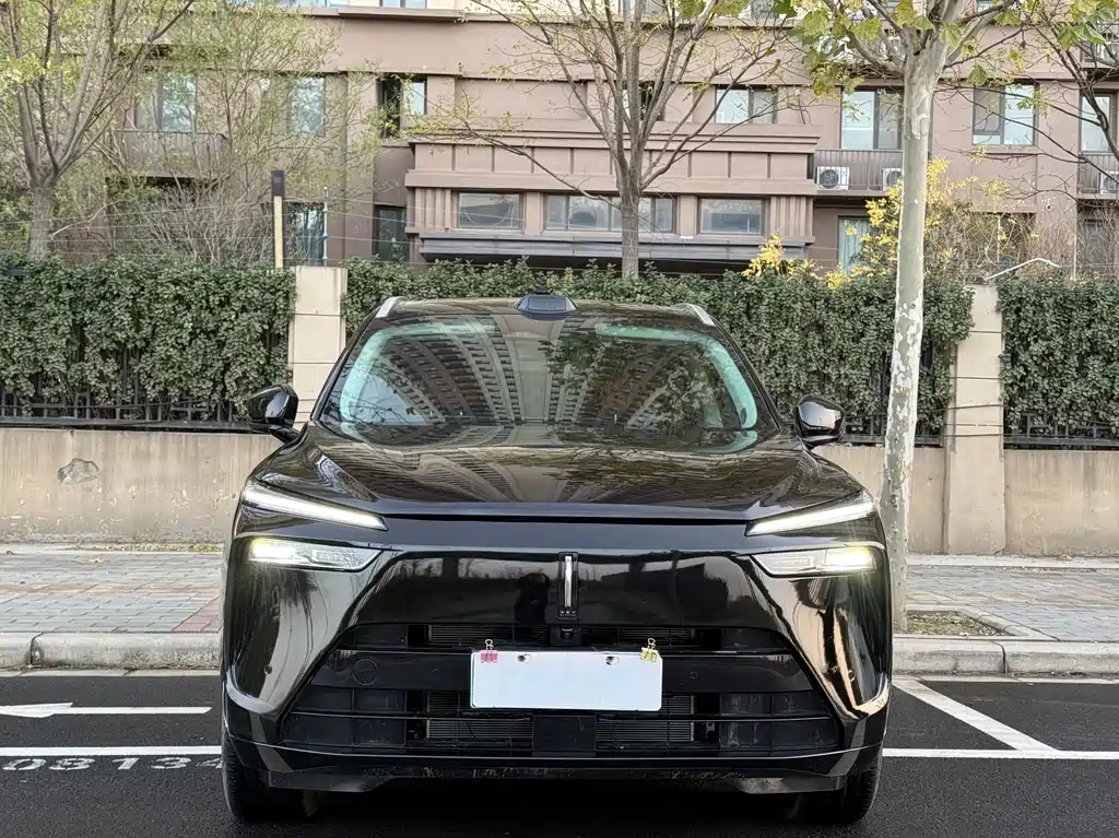 WEI PAI WEI BRAND BLUE MOUNTAIN