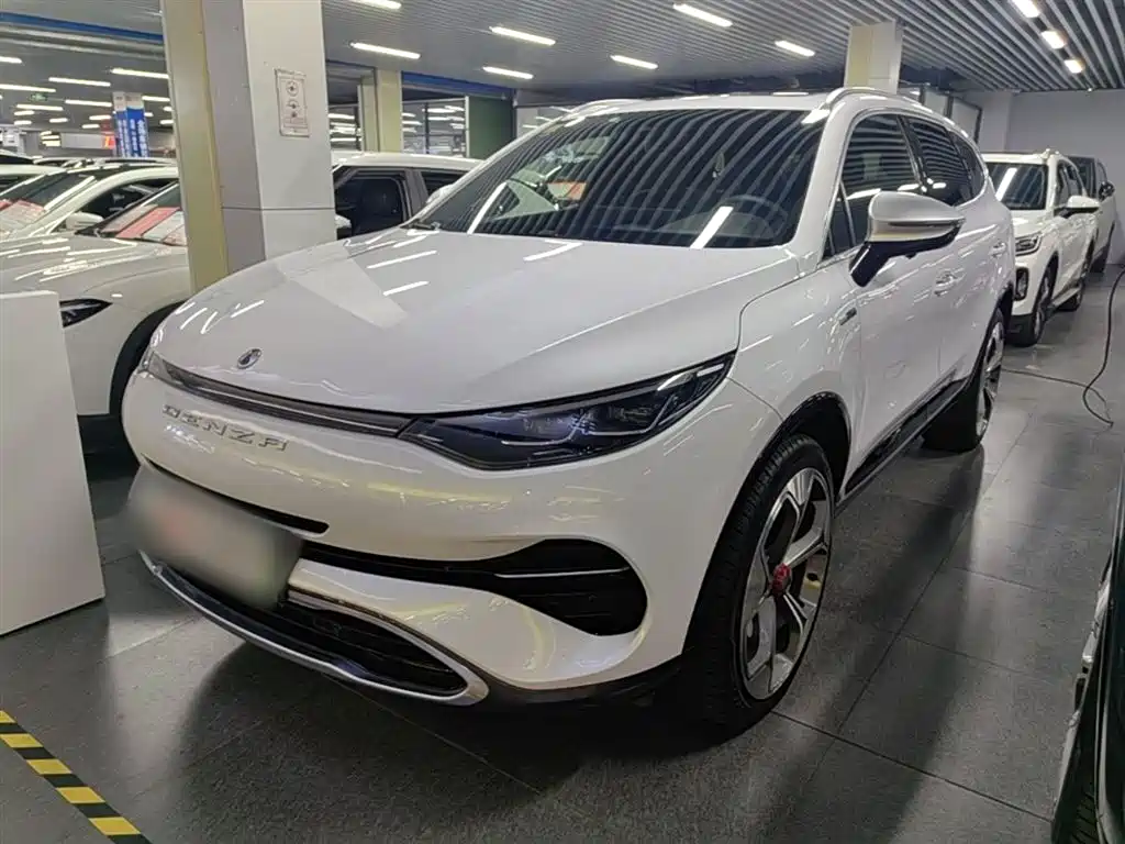 Denza Denza X 2020