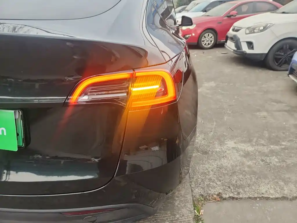 Tesla Model Y — миниатюра 24