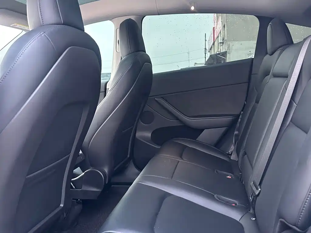 Tesla Model Y — миниатюра 5