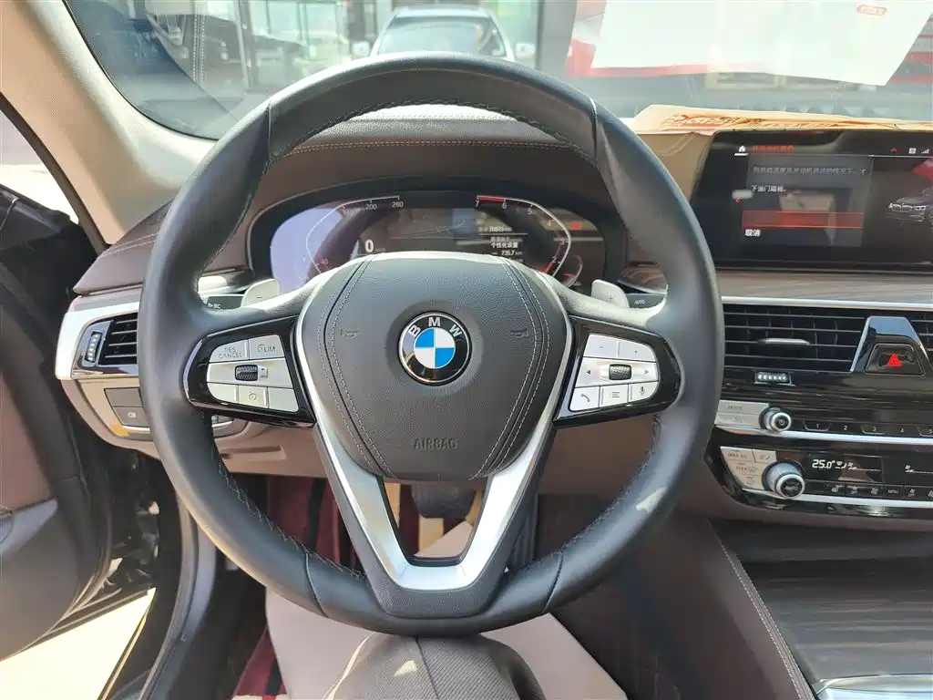 BMW 5 Series 5 2020 530Li Lead Luxury