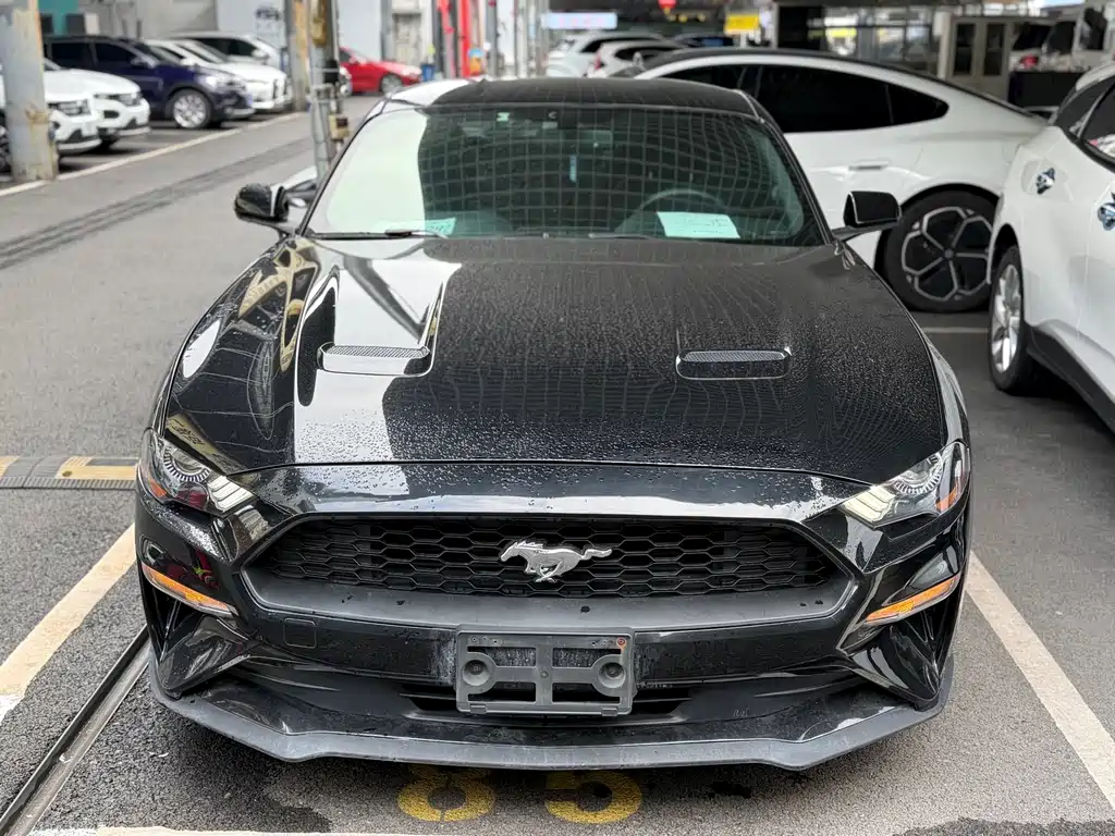 Ford Mustang — миниатюра 3