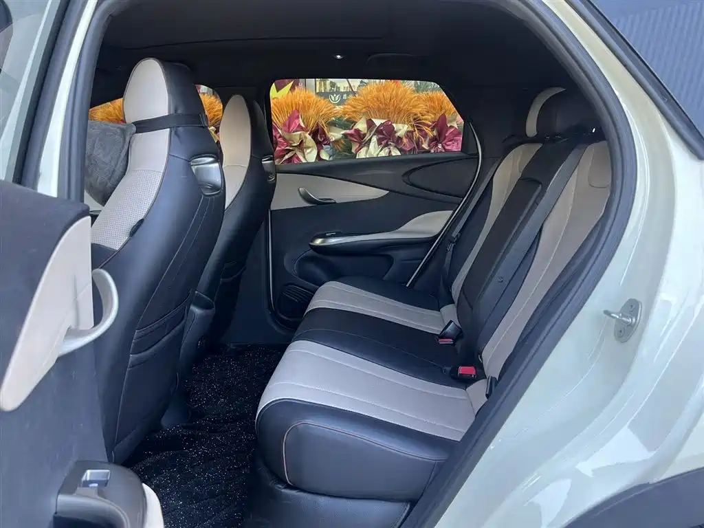 BYD Dolphin 2023 420km Fashion