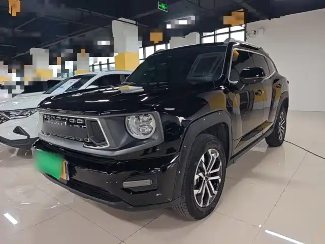 Haval Dargo Plus