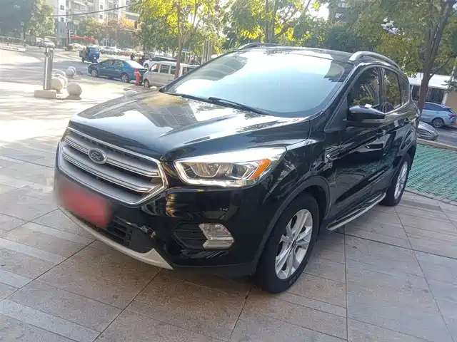 FORD WINGED TIGER 2018