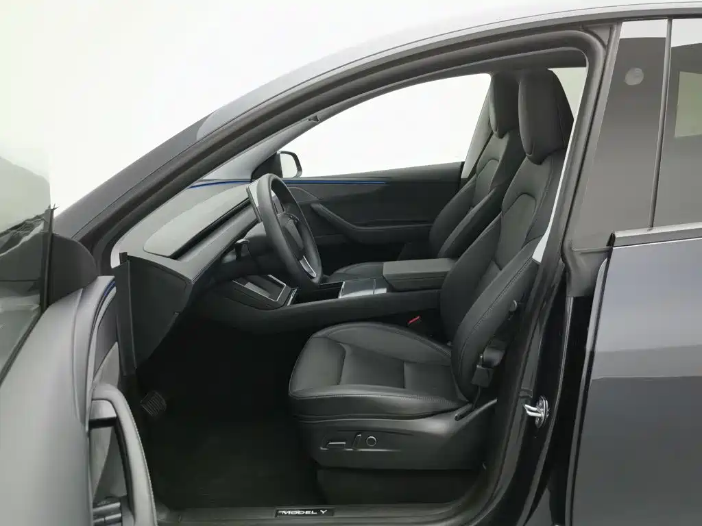 Tesla Model Y — миниатюра 10