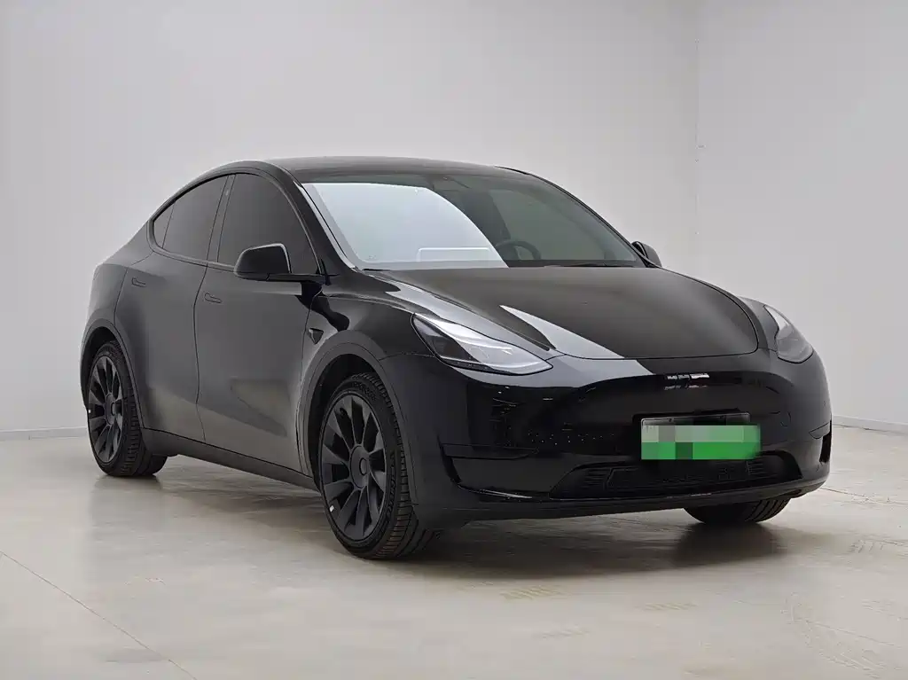 Tesla Model Y — миниатюра 3