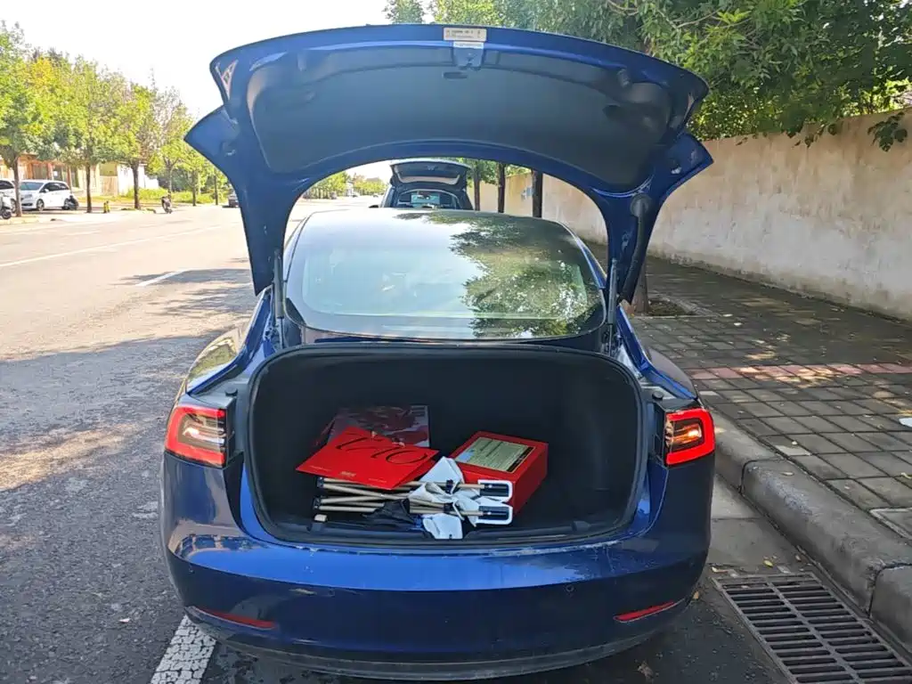 Tesla Model 3 — миниатюра 19