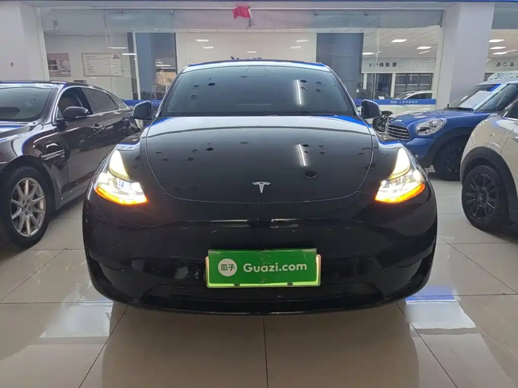 Tesla Model Y — миниатюра 3