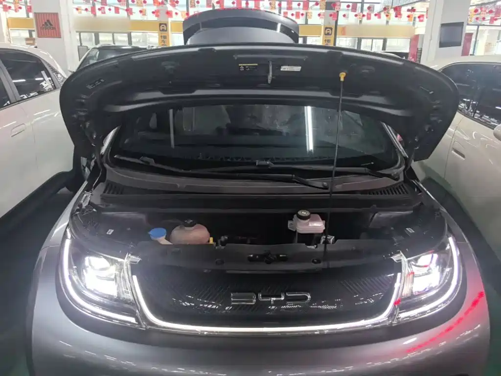 BYD Dolphin — миниатюра 20