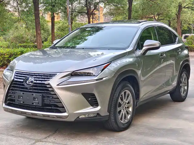 LEXUS  NX 2021