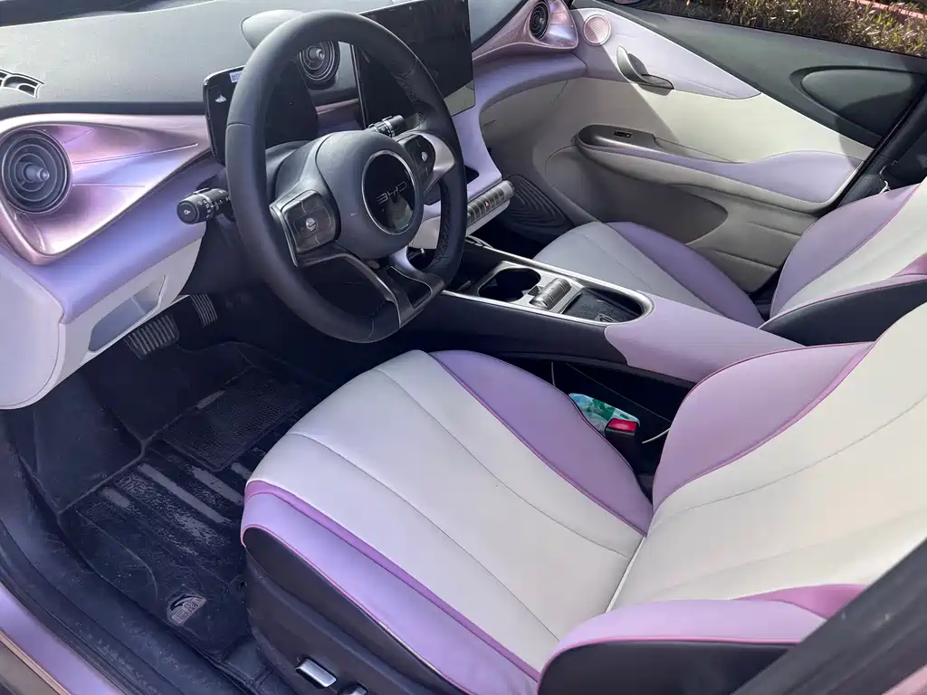 BYD Dolphin 2021 405km Fashion