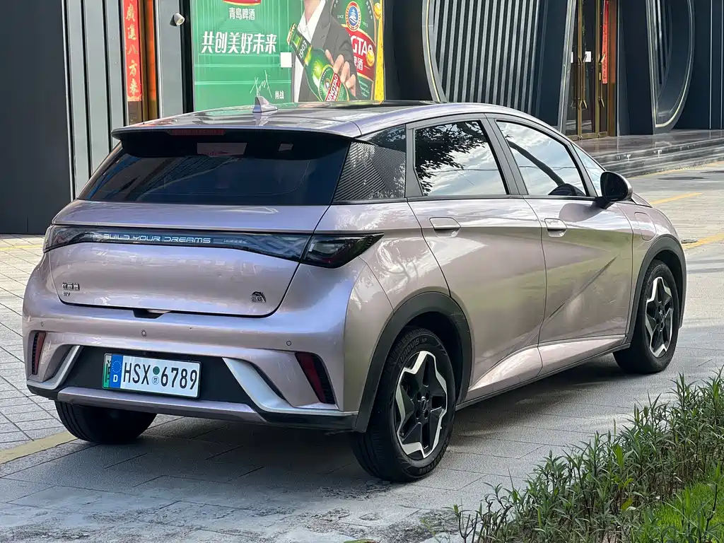 BYD Dolphin 2021 405km Fashion