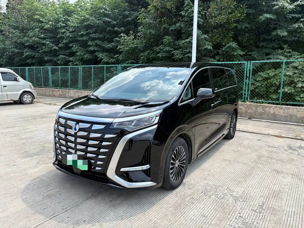 Denza Denza D9
