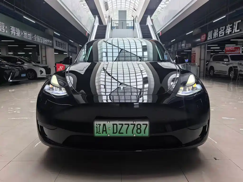 Tesla Model Y — миниатюра 2