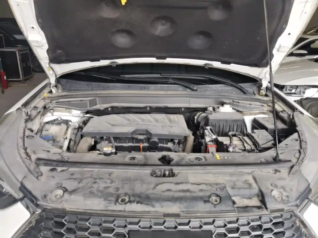 Haval H6 Coupe — миниатюра 20