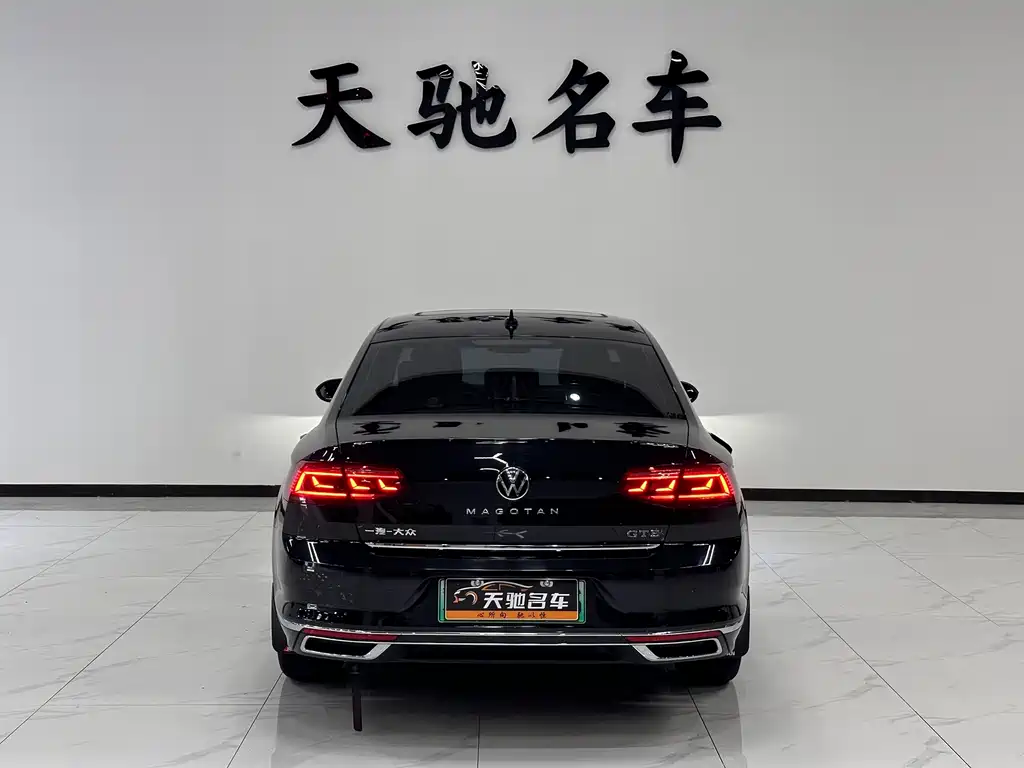 Volkswagen Magotan PHEV GTE Luxury Type, фото 3