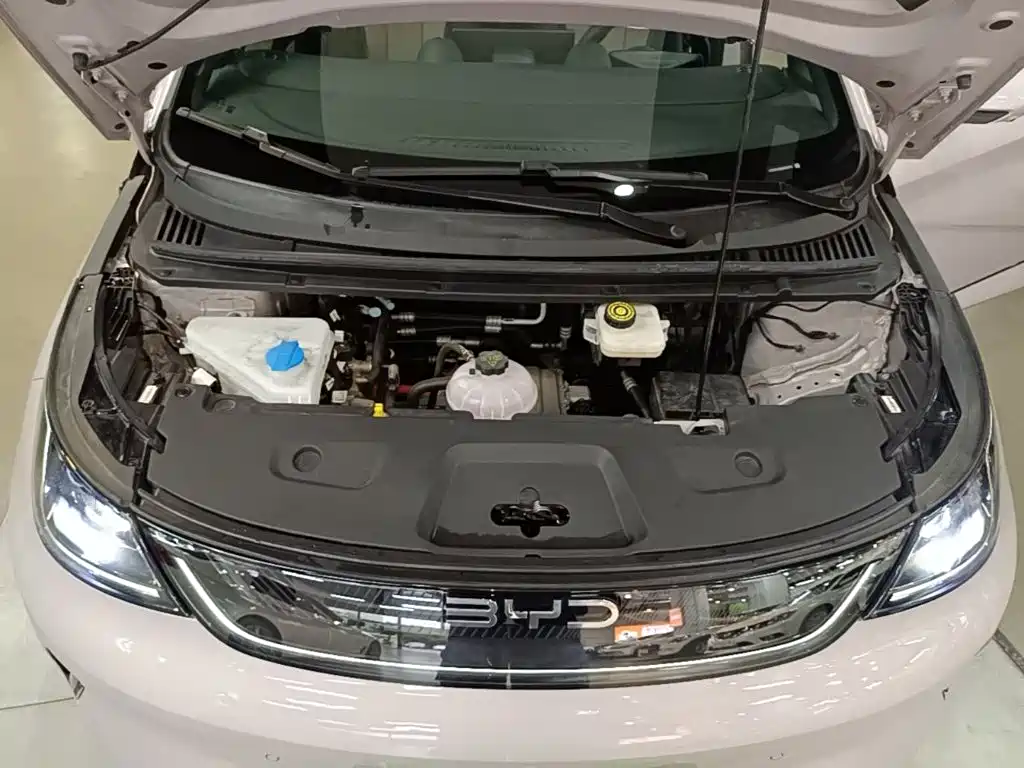 BYD Dolphin — миниатюра 20