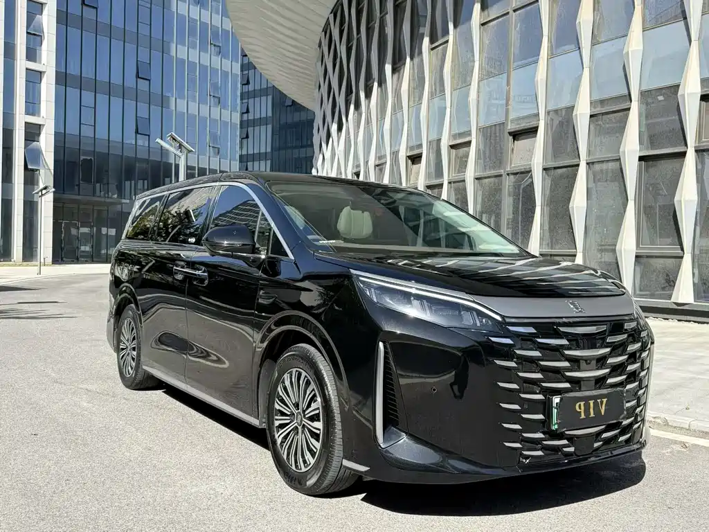 BYD Xia — миниатюра 3