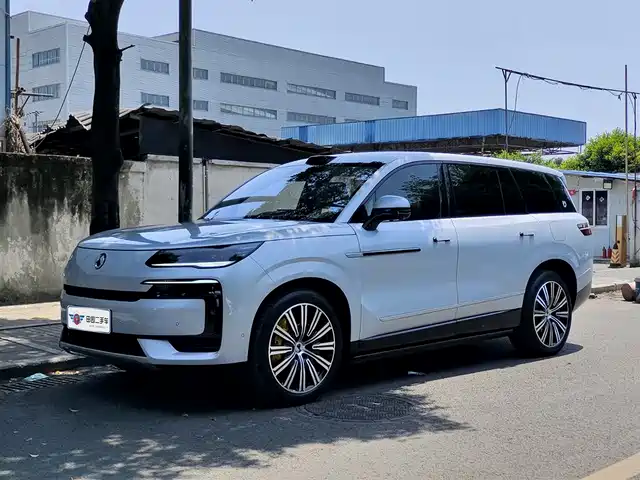 2025 Denza N9