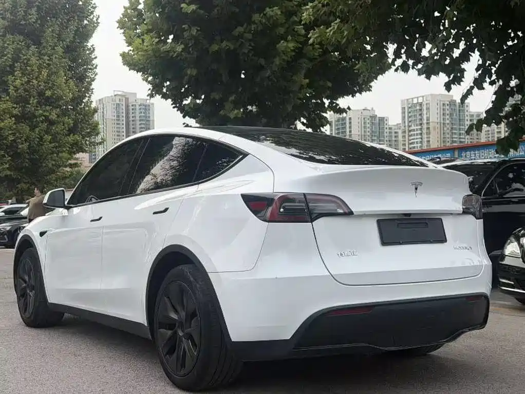 Tesla Model Y — миниатюра 4