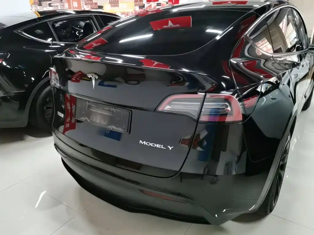Tesla Model Y — миниатюра 6