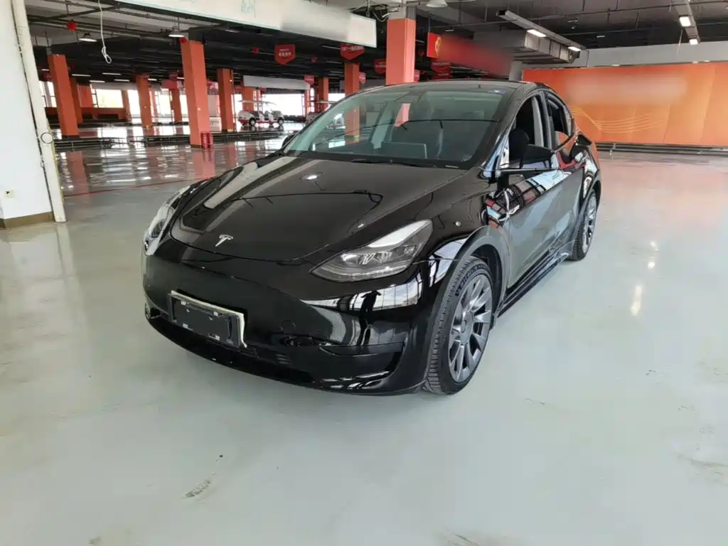 Tesla Model Y — миниатюра 2