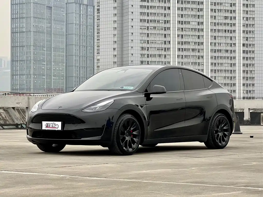 Tesla Model Y 2021 Standard Range RWD Edition