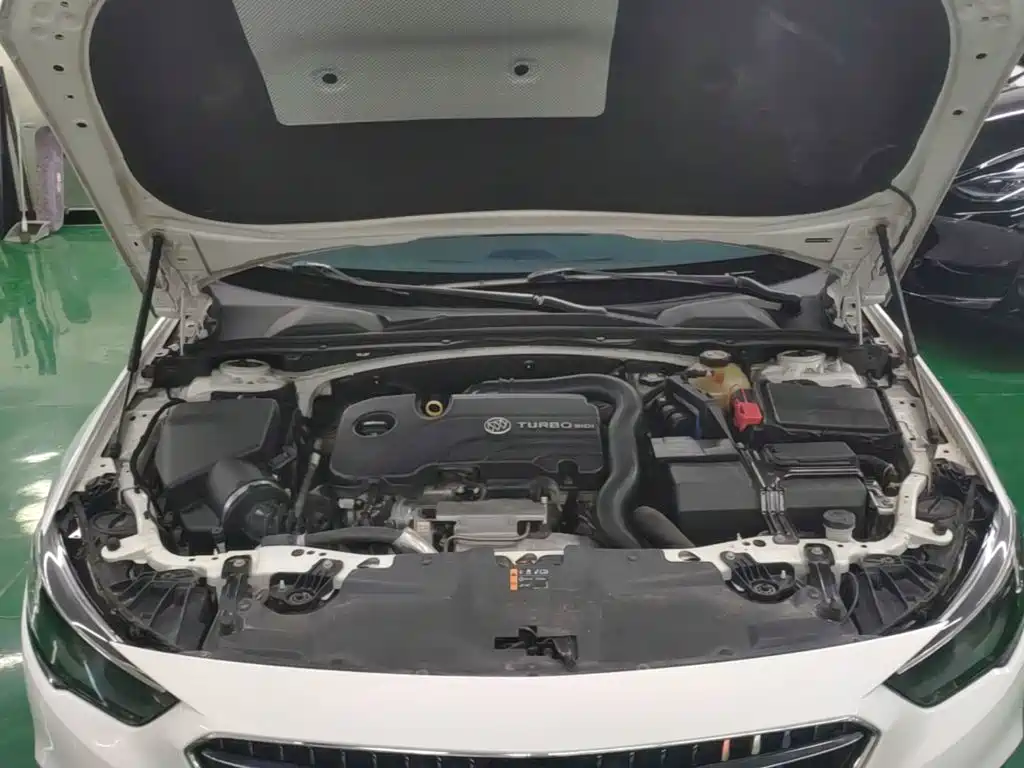 Buick Regal — миниатюра 20