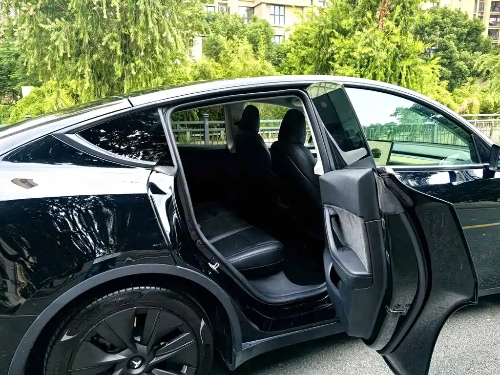 Tesla Model Y — миниатюра 8