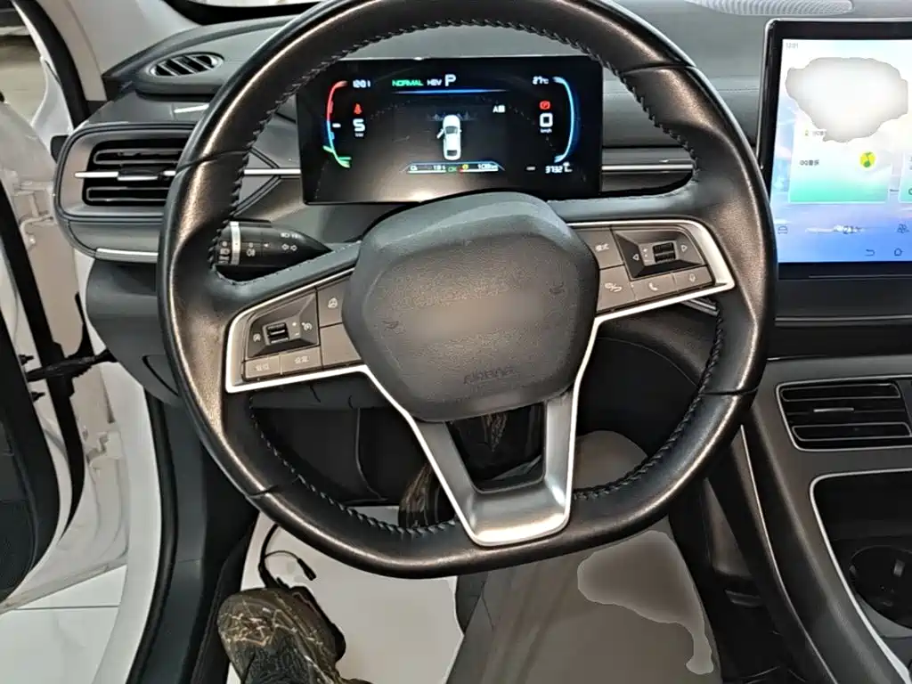 BYD Destroyer 05 — миниатюра 11