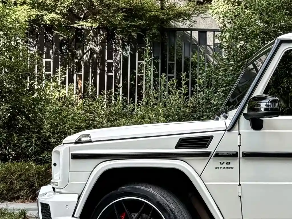 MERCEDES-BENZ G CLASS