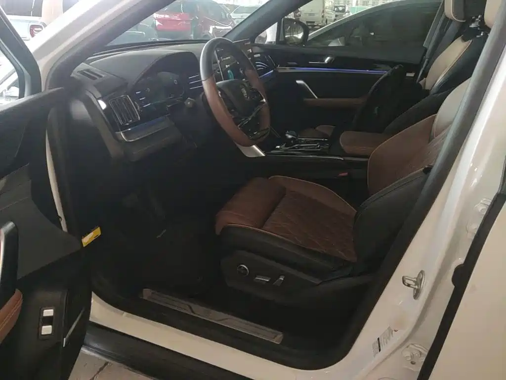 BYD Tang New Energy — миниатюра 16