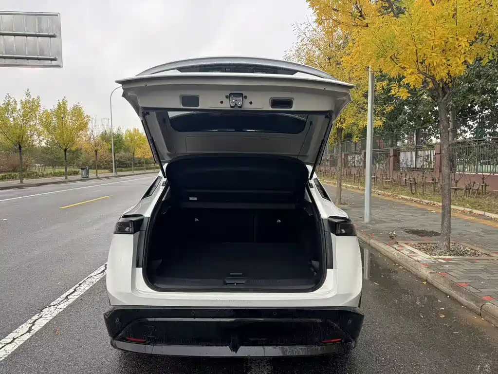 Nissan Ariya — миниатюра 14