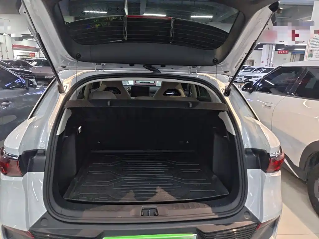 BYD Yuan Plus — миниатюра 19