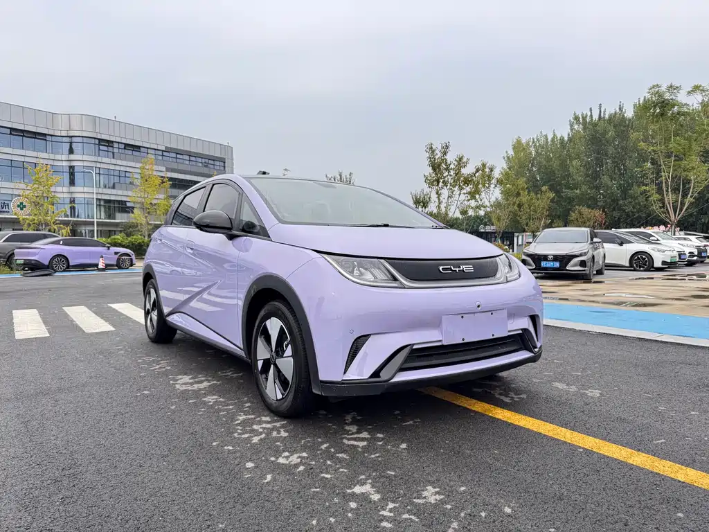 BYD Dolphin — миниатюра 3
