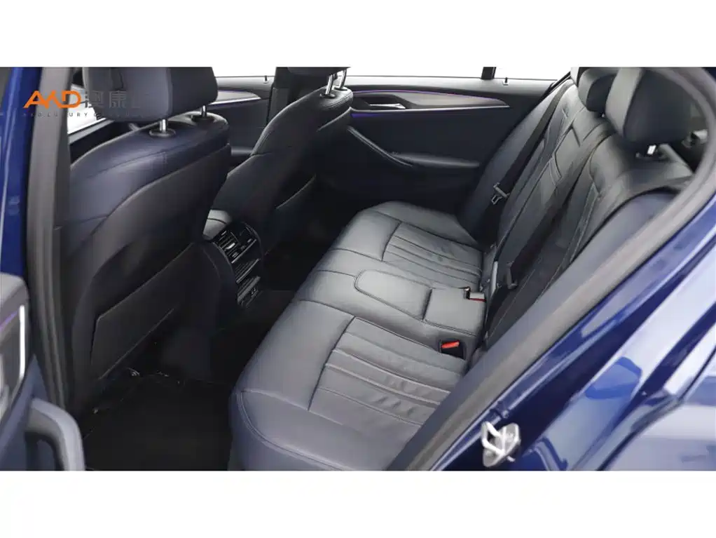 BMW 5 Series 5 2020 525i M Sport
