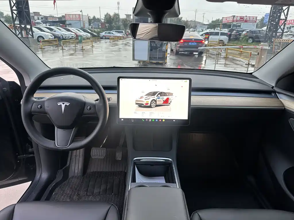 Tesla Model Y — миниатюра 6