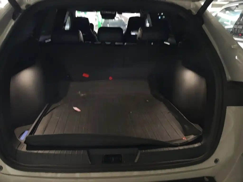 BYD PLUS New Energy — миниатюра 10