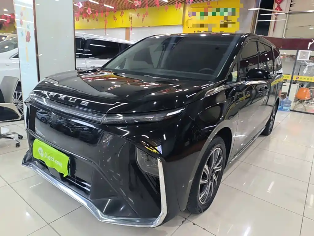 MAXUS Dajia 9 — миниатюра 2