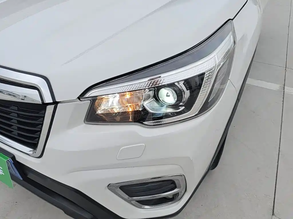 Subaru Forester — миниатюра 24