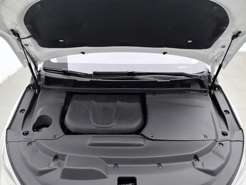 BYD MAX — миниатюра 6