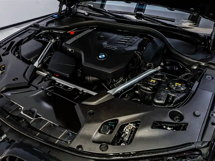 BMW 5 Series 5 2022 530Li Lead M Sport